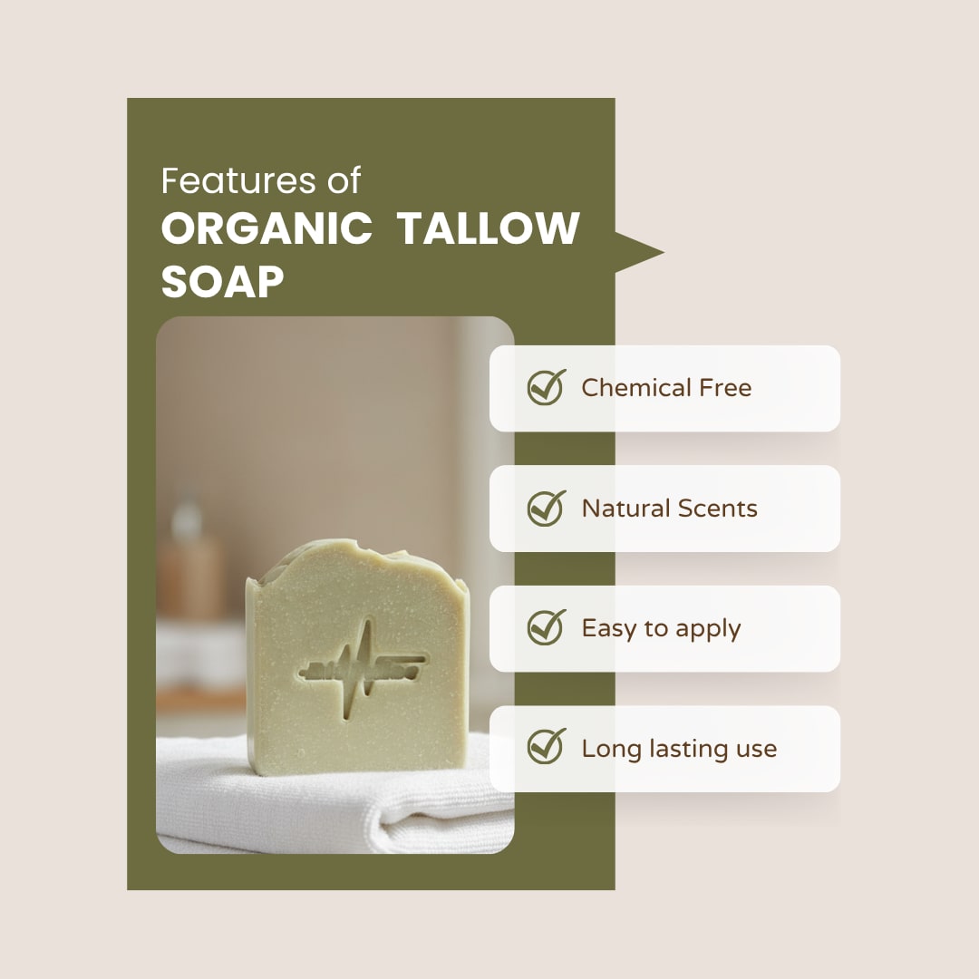 The Tallow Collection