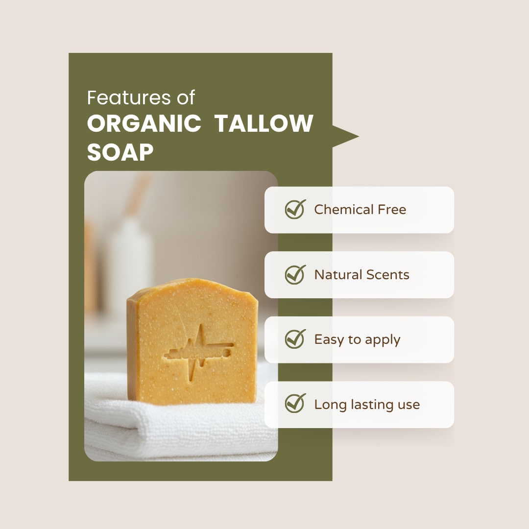 Tallow Essentials Bundle