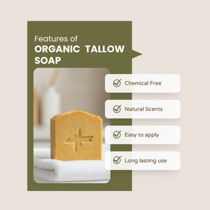 Tallow Essentials Bundle