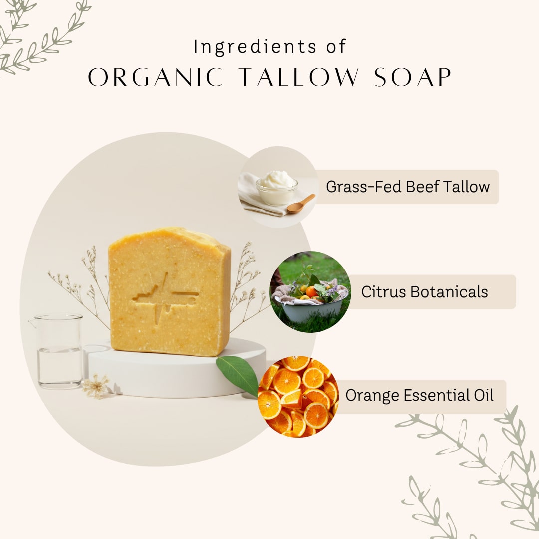 Tallow Essentials Bundle