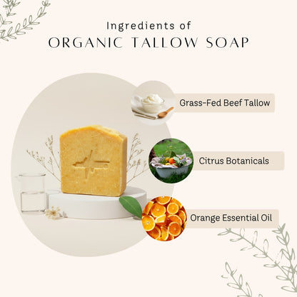 Tallow Essentials Bundle