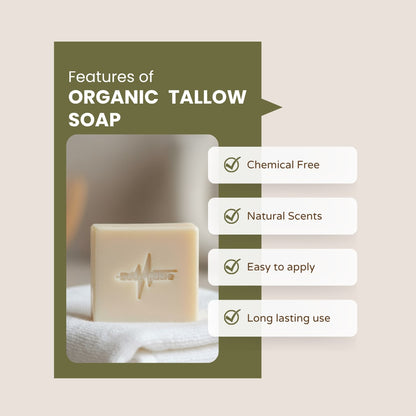 Tallow Essentials Bundle